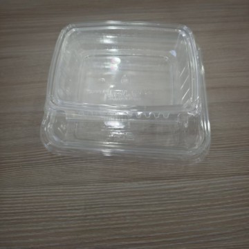 PET Food Fruit Storage Packaging Deli Container