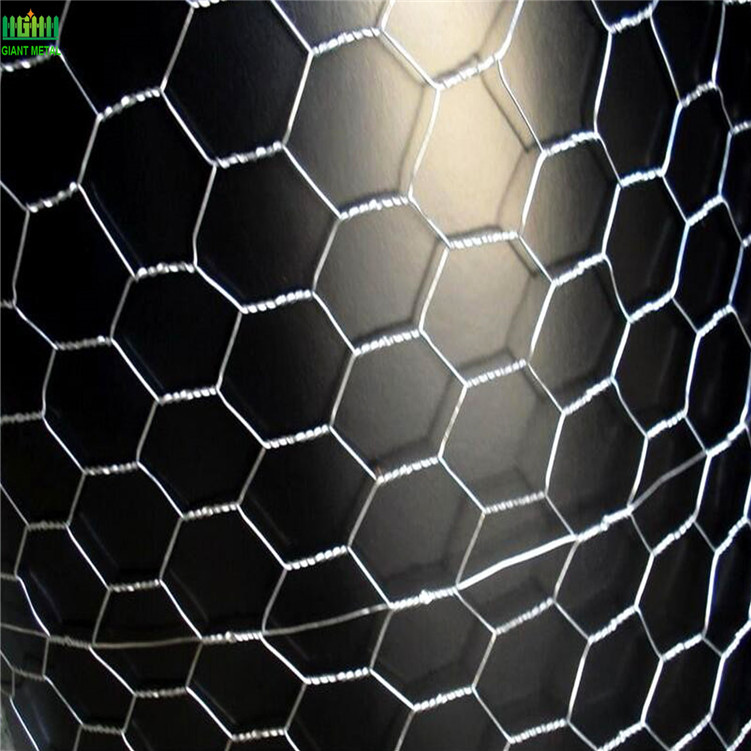 Hot Dipped Dalvanized Hexagonal Wire Netting