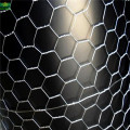 Hot Dipped Dalvanized Hexagonal Wire Netting