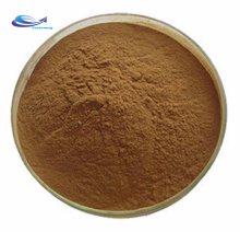 Hot sale burdock root extract