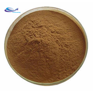 Hot sale burdock root extract