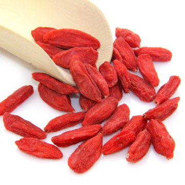 Conventional wolfberry/goji berry fruit with low sugar