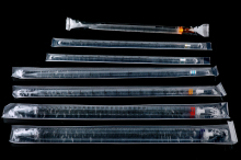 NEST Disposable Serological pipette