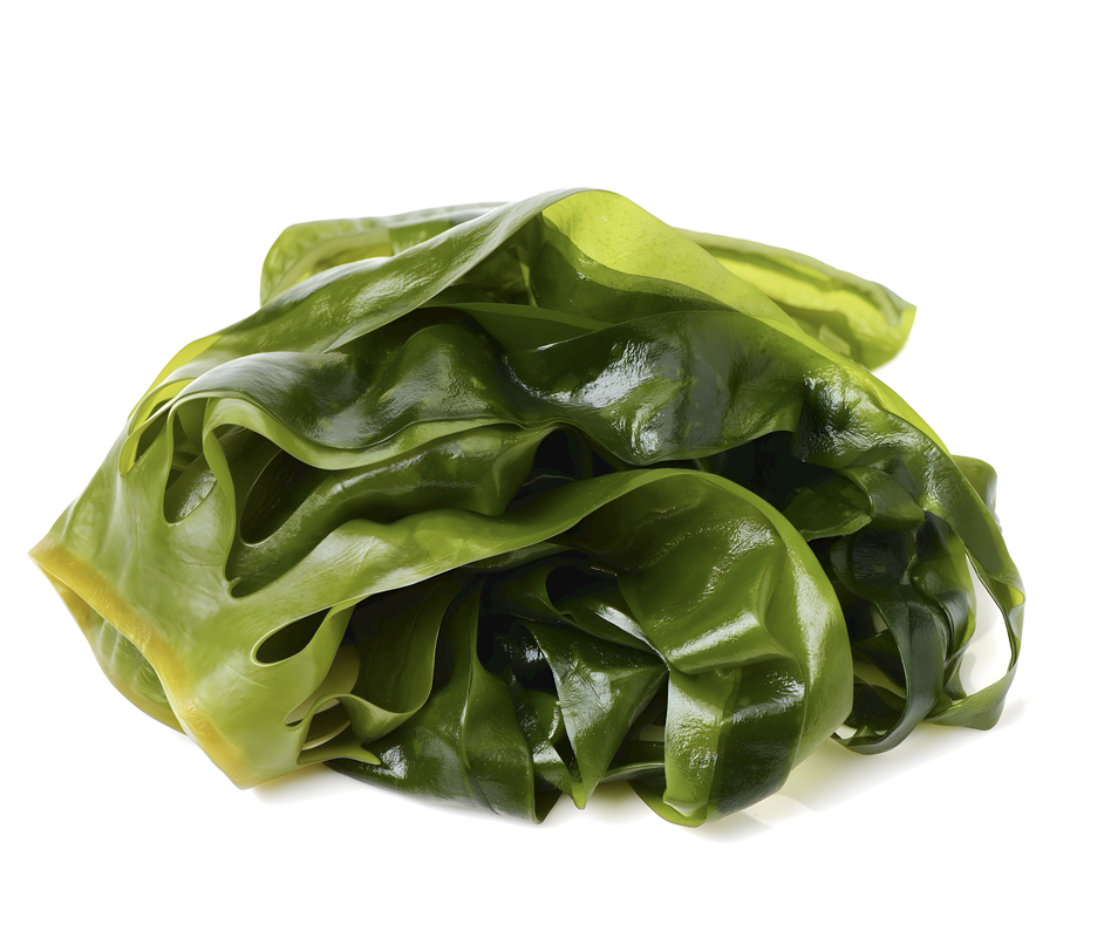 натуральный порошок экстракта морских водорослей atural Seaweed Extract Powder