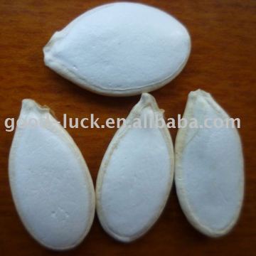 Cushaw Seed In Shell ,China Origin