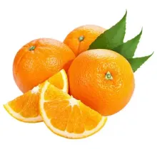 High Quality Fresh Mandarin Oranges with Great Taste
