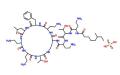 Polypeptide Antibiotic Polymyxin B Sulfate 1405-20-5