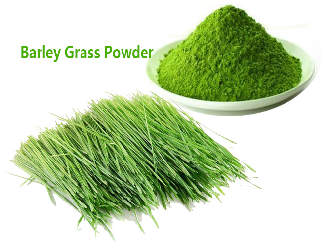 Barley grass powder