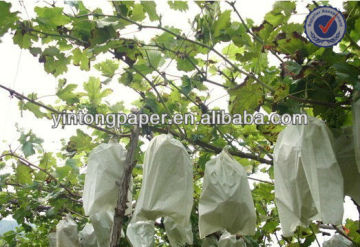 fruit protection grape bag grape paper bag