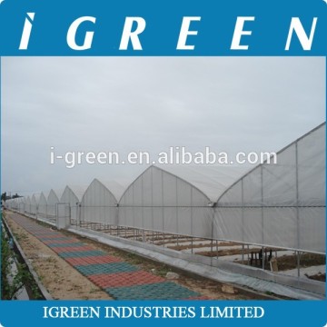 Economical plastic greenhouses for sale