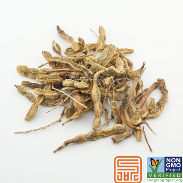 Sophora Japonica Extract Genistein