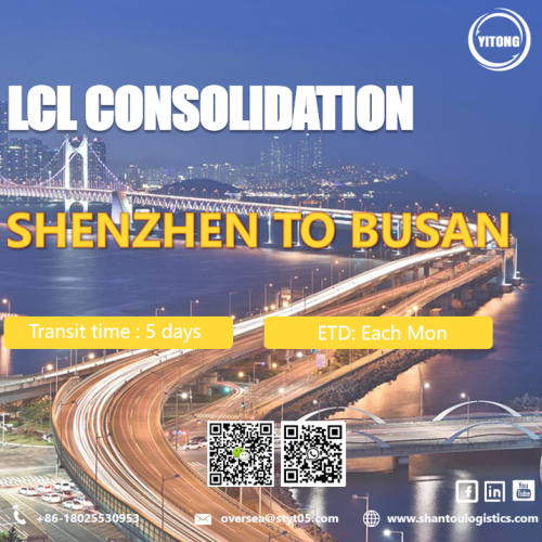 Shenzhen에서 Busan 한국까지 LCL 국제 운송