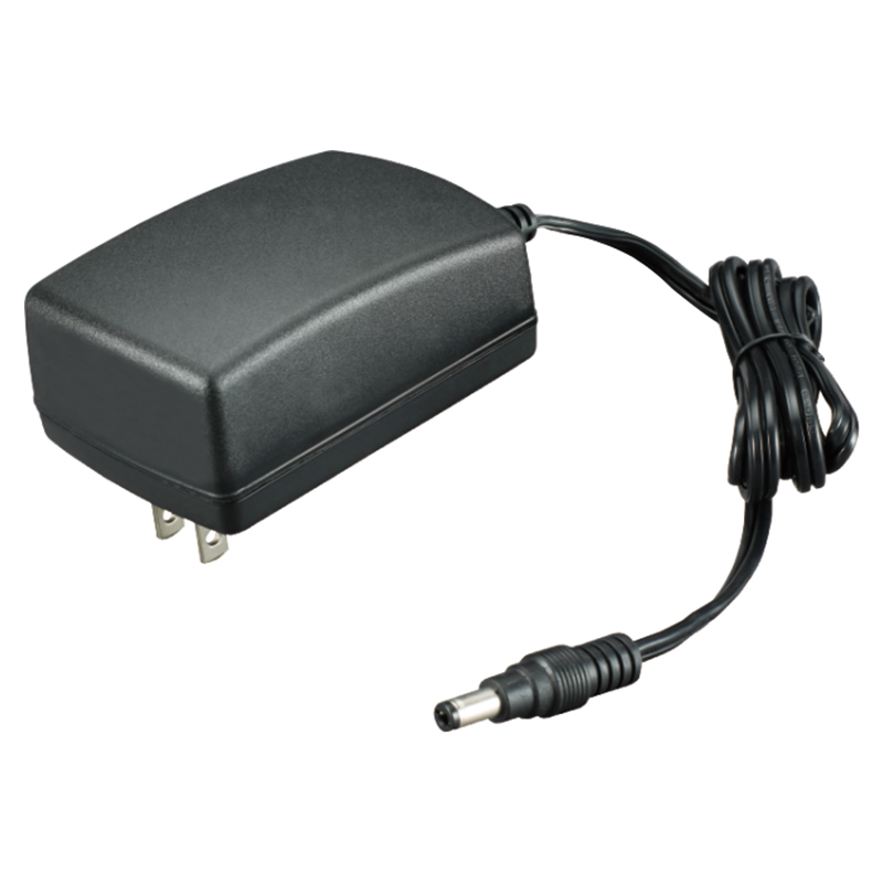 36W Switching Power Adapter