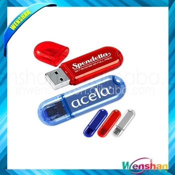 Cheap transparent plastic usb memory stick