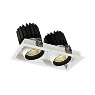 Downlight LEDER de înaltă tensiune rafinat 30W*2 LED