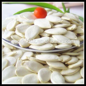 Buy Pumpkin Seeds, Cheap Price Snow White Pumpkin Seeds