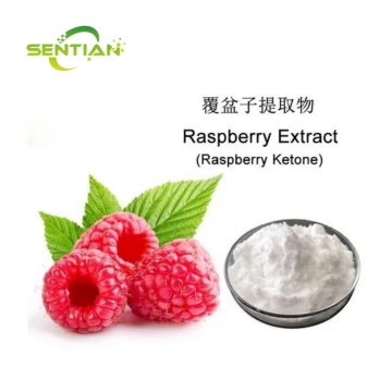 Lose Weight Raspberry Extract Raspberry Ketone 98% Powder