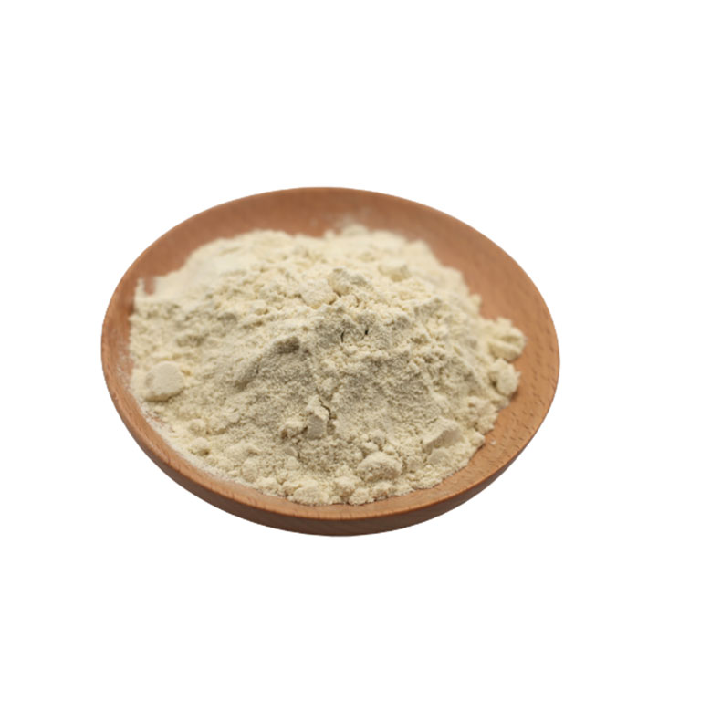 Bulk organic mung bean protein powder