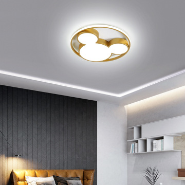 LEDER Led Home Ceiling Lights