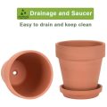 6 Inch Clay Pot for Plant with Saucer