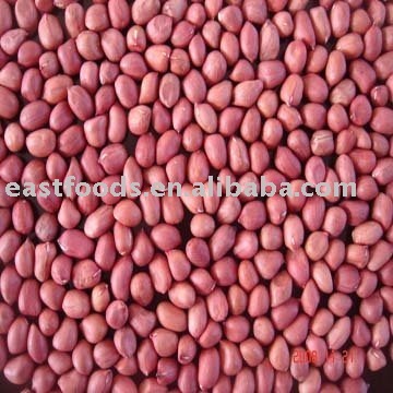 Red skin peanuts