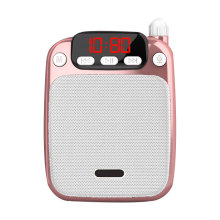 Professional Wireless Microphones and Voice Amplifiers for Video Recording and Teaching