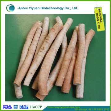 White Peony Root baishao