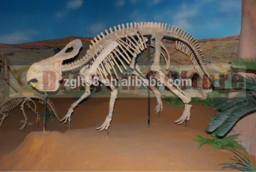 2014 Dinosaur park fiberglass dinosaur fossil for sale