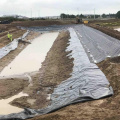 Transparen hdpe ldpe lldpe пленка пленки гемембрана Geomembrane