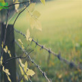 PVC Coated Barbed Wire Black Fence Wire