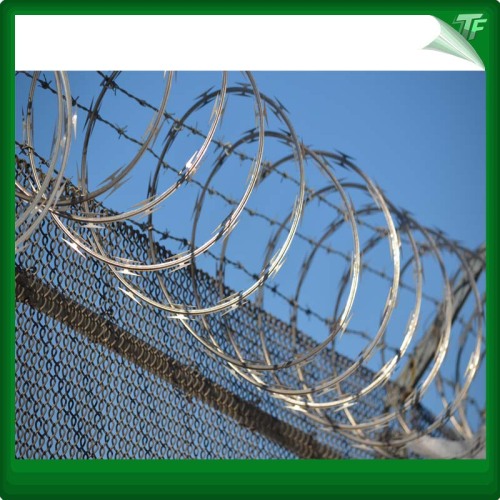 Γαλβανισμένο Concertina Coils Razor Wire