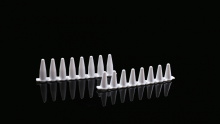 0.2ml White PCR 8-Strip Tubes
