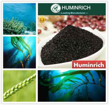 Huminrich Shenyang 15% Seaweed Extract brown alga powder