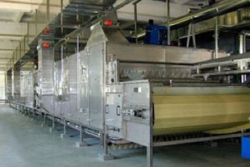 Vegetable and Fruit Continuous Drying Machine