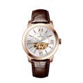 Sapphire Crystal Automatic Men's Watches