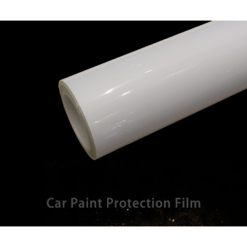 페인트 보호 필름 프로 패키지 가격