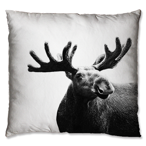 cute animals design cushion (2)