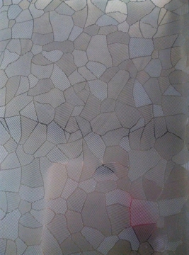 color embossed stainless steel sheet