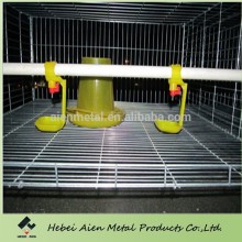 cage for growing broiler