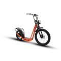 20inch 34 inch electric bike 48V 1000W