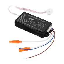 Hot-selling emergency power 2-4W emergency power supply