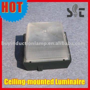 80W Induction lamp Down light/Ceiling-mounted Luminaire