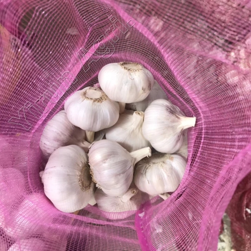 Witte huid Garlics voor export
