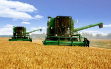 used fish high protein wheat gluten