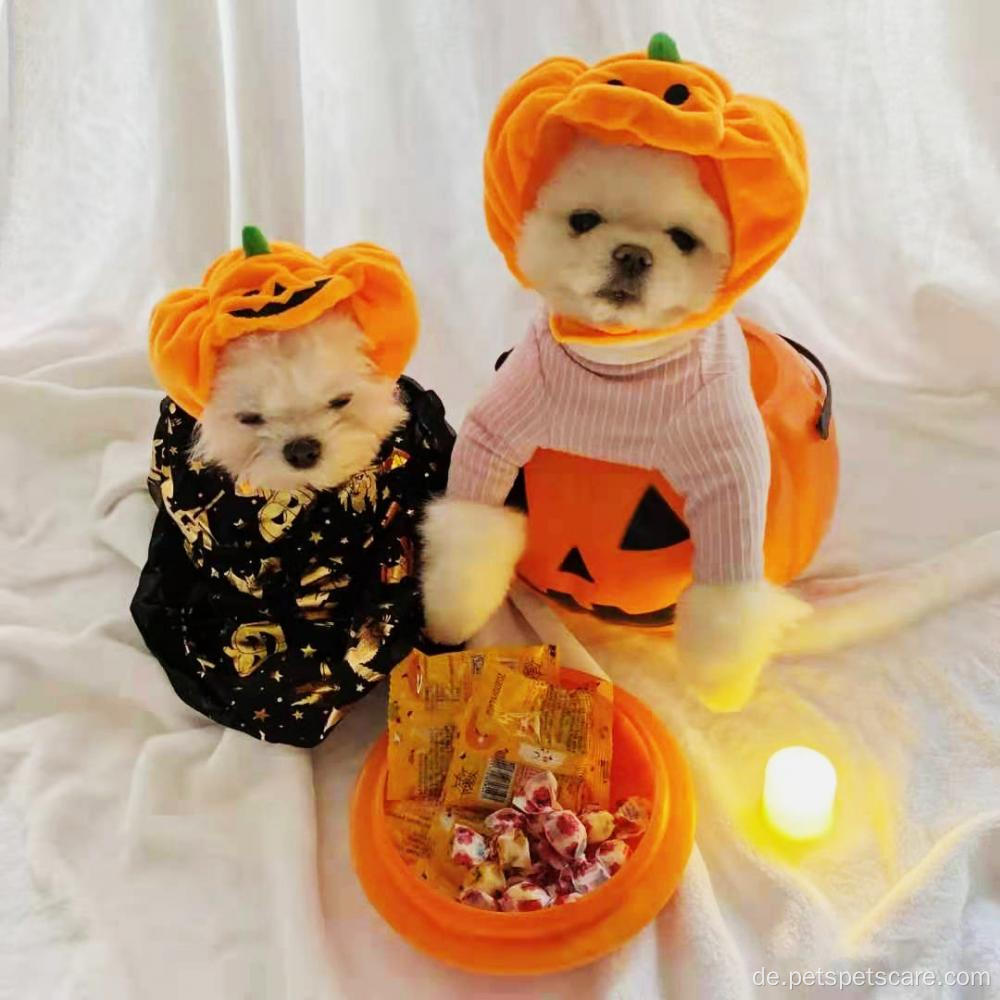 Plüsch warm süßer Weihnachtskürbis Halloween Hundehut