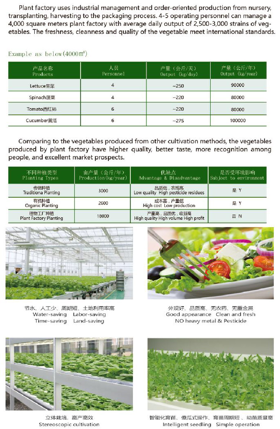 Soilless Culture Natrual Light Agriculture Plant Factory Rebe1