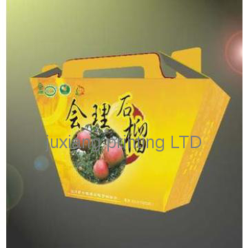 paper box with diecut handle