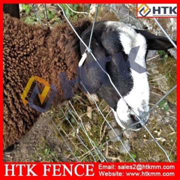 Hot Sale! Galvanized Cattle Fence Mesh/Cattle Fence Netting/Cattle Fence Wire