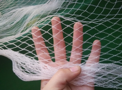 High strength HDPE anti bird screen mesh net with promotional price