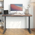 Bureau debout électrique de couleur en bois